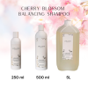 japanese head spa cherry blossom scalp care japanese head spa cherry blossom scalp care