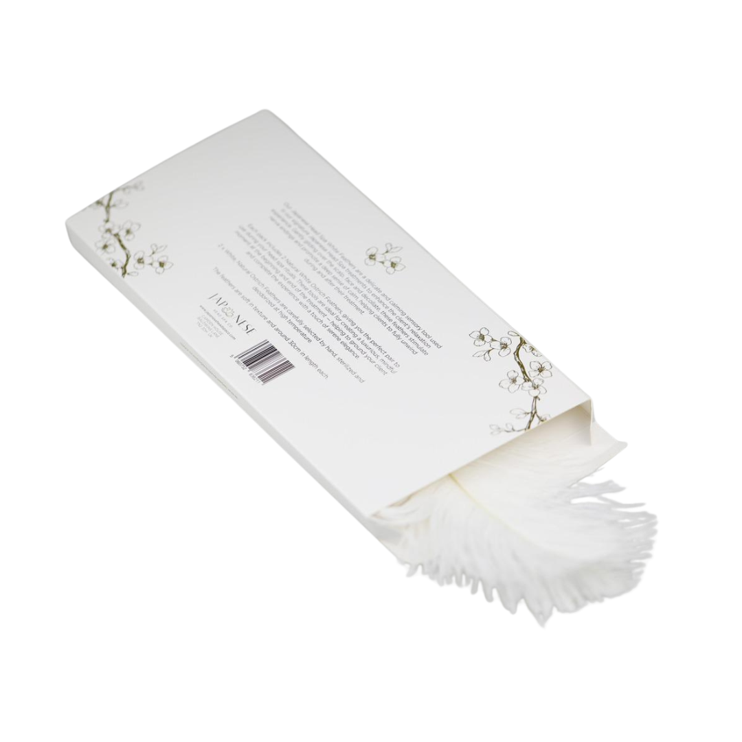 Real Natural White Ostrich Feathers (Pack of 2)