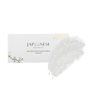 Real Natural White Ostrich Feathers (Pack of 2)