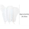Real Natural White Ostrich Feathers (Pack of 2)
