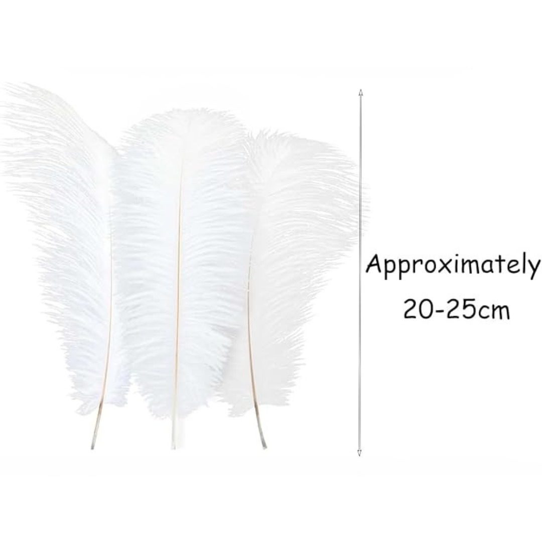 Real Natural White Ostrich Feathers (Pack of 2)