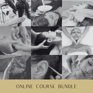 bundle Online Course Bundle